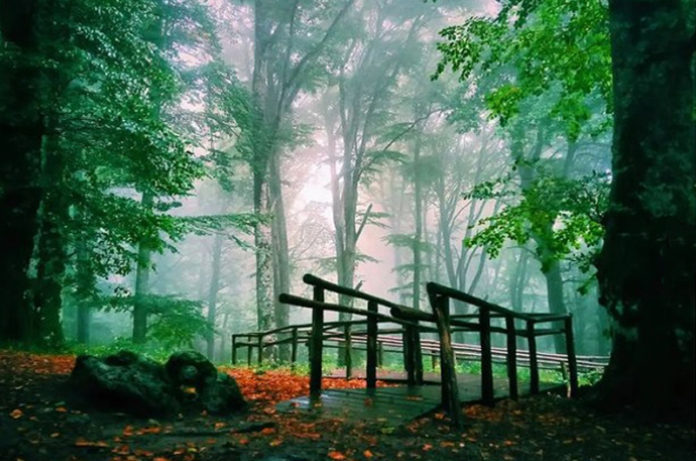 Autunno di Sabrina Giannicola