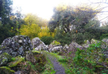 Bosco-del-Sasseto