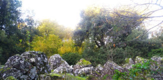 “Quelli di là… Dal lato opposto dello stesso posto”, al Bosco del Sasseto lo spettacolo sul terribile bombardamento del 13 giugno 1944 Bosco-del-Sasseto