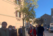 Fratelli d’Italia, piantati due alberi a La Quercia