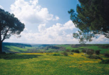 Pnrr, la transizione verde avanza ma “la terra non può essere svilita”