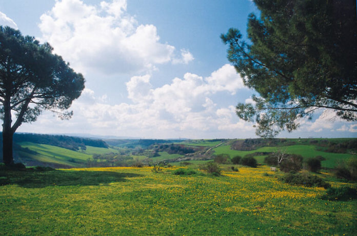 foto A.Gariboldi_2.jpg tuscania