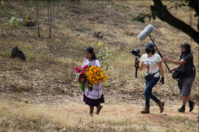 slow film fest cover