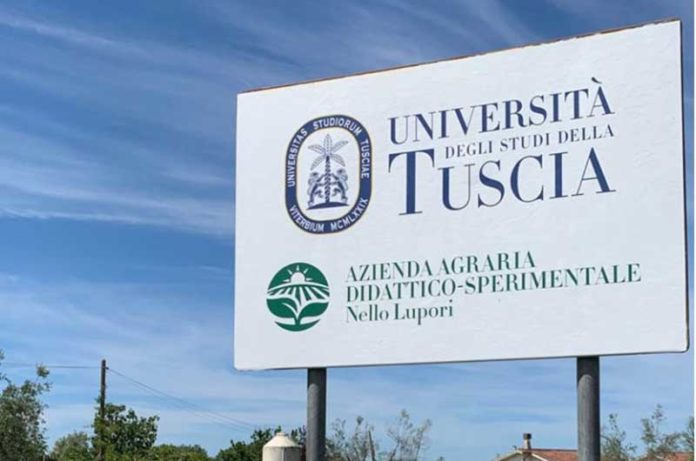 AZIENDA-AGRARIA-UNITUS-NELLO-LUPORI-TRIBUNALE-DI-VITERBO-768x509