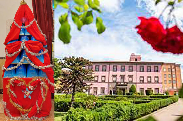 Istituto Villa Rosa _ solidarietà sociale