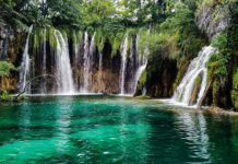 Paolo Crescia, classe 1982, tarquiniese: “Nella Tuscia c’è una straordinaria biodiversità”