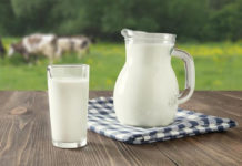 filiera del latte_cover
