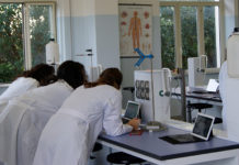 Liceo Scientifico “Cardarelli” di Tarquinia, la scuola che offre una formazione a 360°