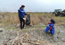 Tarquinia, Fare Verde ripulisce la spiaggia in località “Spinicci – Pian di Spille”