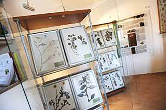 Museo Naturalistico Lubriano