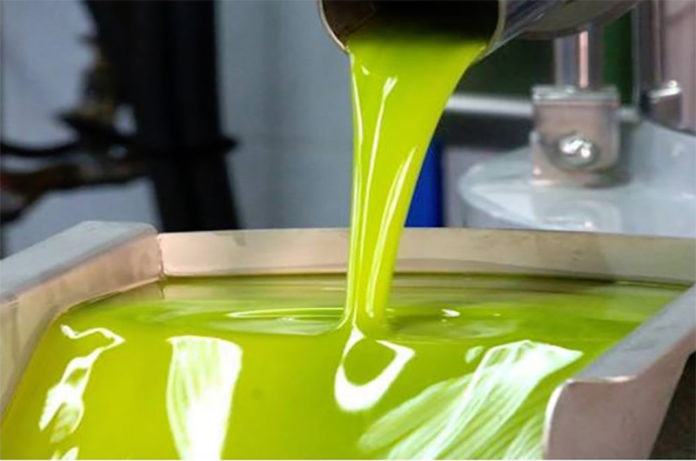 Ramoscello d'oro Ramoscello d'oro