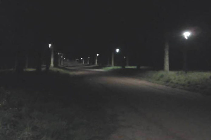 Foto Earth Hour Oriolo Viale delle Olmate 600x450