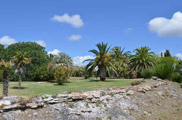 orto botanico orto botanico