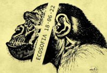 Il festival “Ecosofia – Ambiente e Salute” alla sua prima edizione