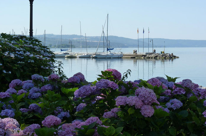 Festa delle Ortensie Bolsena