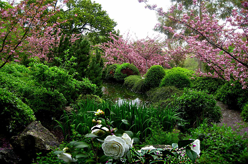 La-Conserva-della-Neve-Orto-Botanico