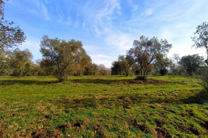 Oasi WWF Pian Sant'Angelo_1 Oasi WWF Pian Sant'Angelo