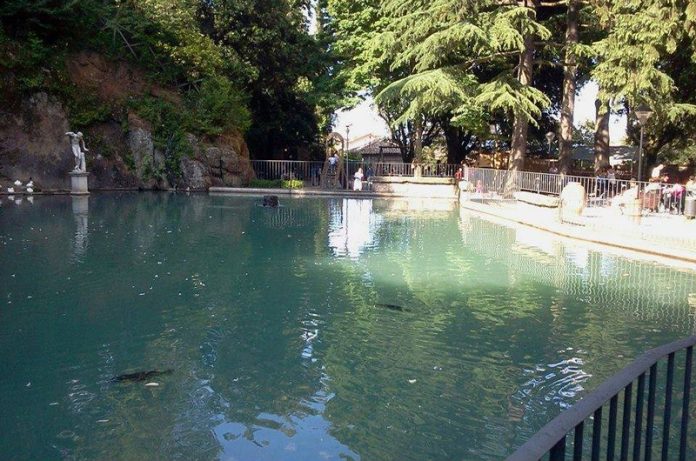 Parco delle Paperelle