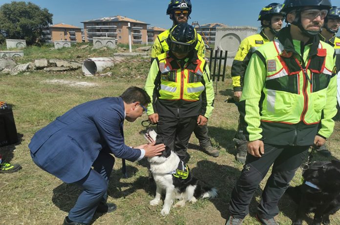 alessio d'amato e il saluto al cane