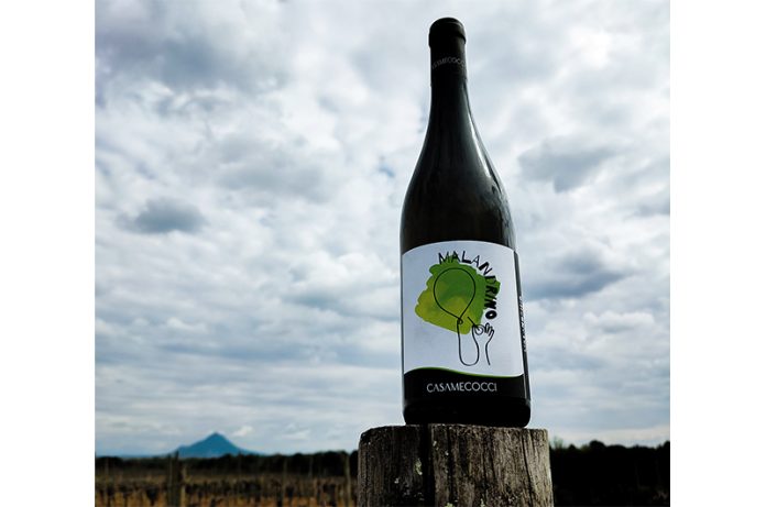 Malandrino di CasaMecocci vincitore a Capranica