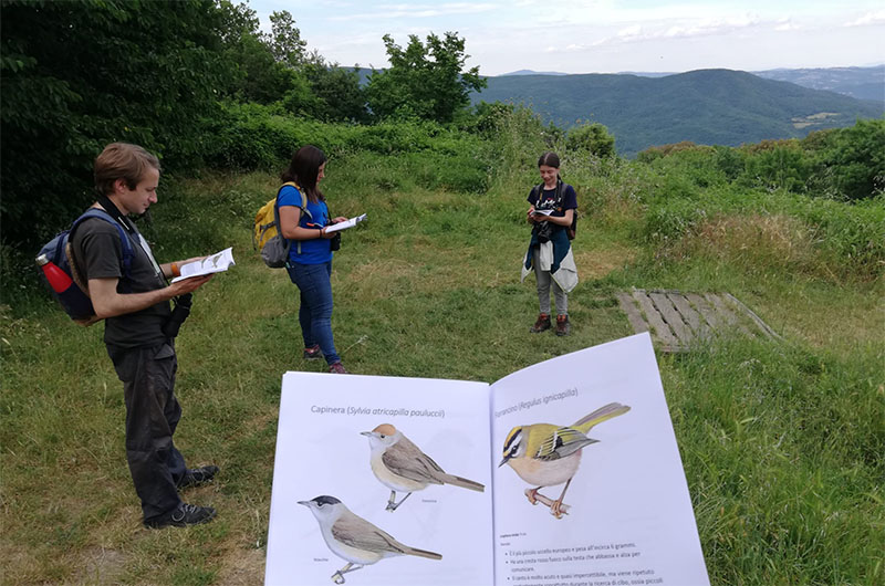 Battibecchi al tramonto al Sasseto