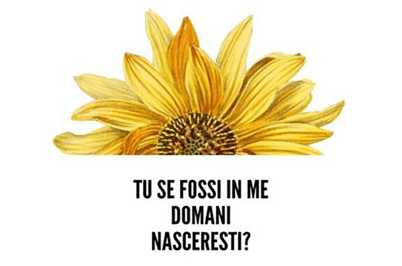 Tu se fossi in me