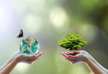 Tutela dell'ambiente