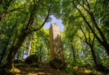 faggeta dei monti Cimini, patrimonio dell'Umanità