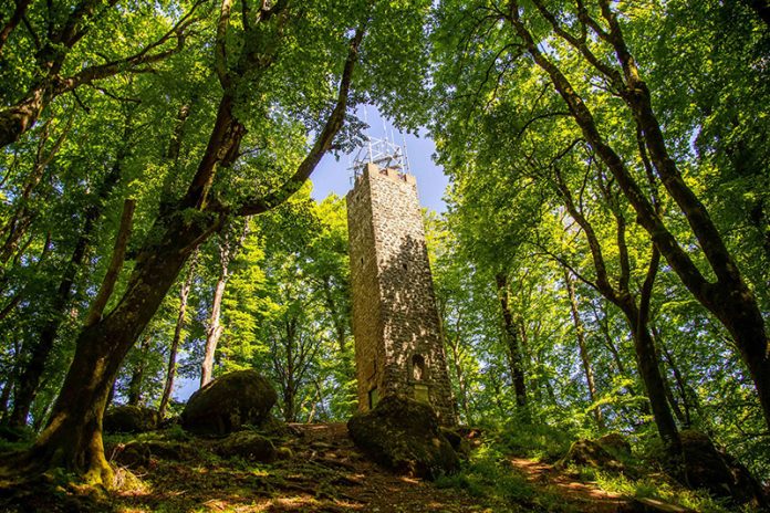 faggeta dei monti Cimini, patrimonio dell'Umanità