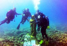A Montalto Marina celebrazioni del 25esimo anniversario della Madonna dello Speronello madonna dello speronello