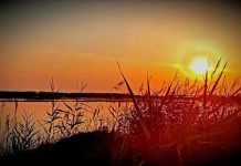 Notte Bianca della Biodiversità, alle Saline di Tarquinia oltre il tramonto saline di tarquinia al tramonto