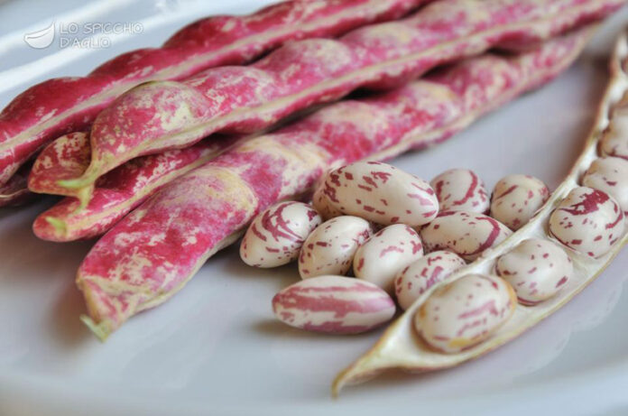 Sagra del Fagiolo a Sutri