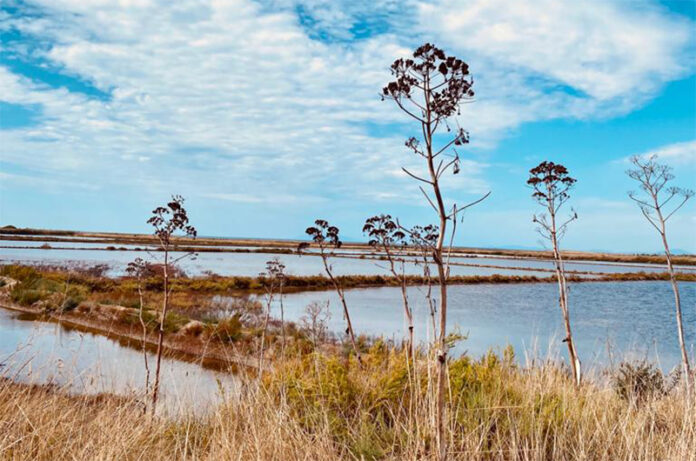Tarquinia cammina per l'Ospedale
