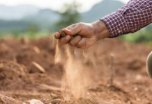 Siccità, Coldiretto Lazio: “Accolta dalla Regione la richiesta per l’aumento del 30% del carburante per irrigazione” siccità