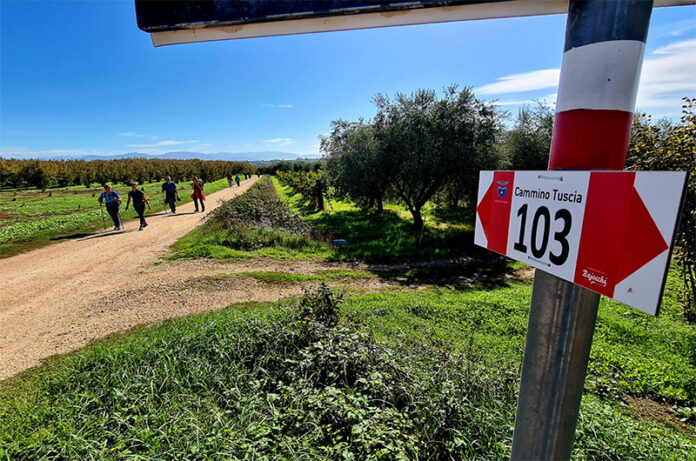 Cammino Tuscia 103