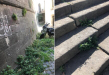 Cunicchio il rione “sotto” tra piazza Verdi e Porta Murata, la vegetazione ostruisce gli accessi