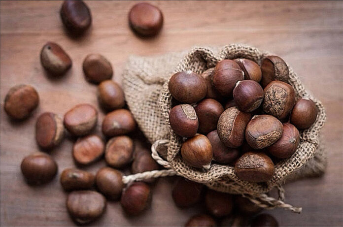 SAGRA MARRONE di Latera