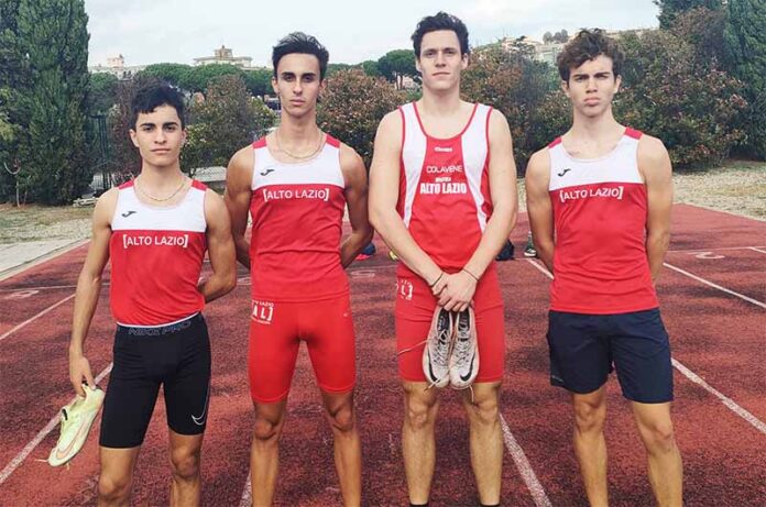 Ticconi Cianchelli Ercoli Belcapo