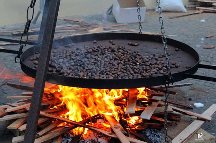 canepina giornate della castagna