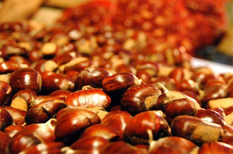 castagne san martino al cimino