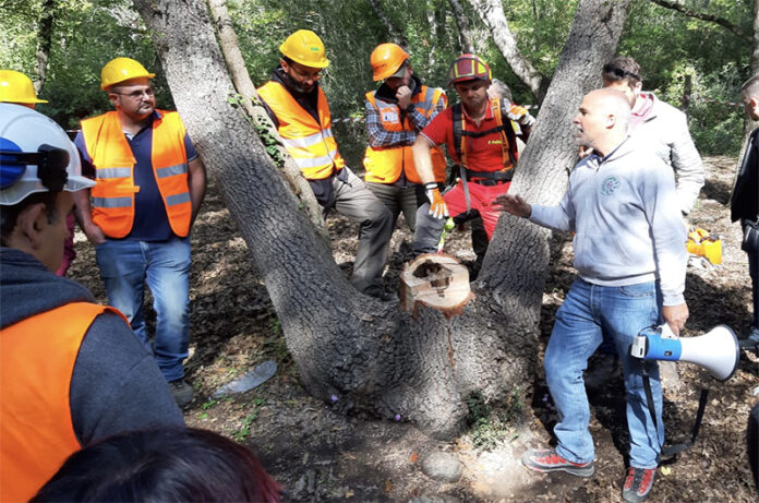 corso alberi spresal