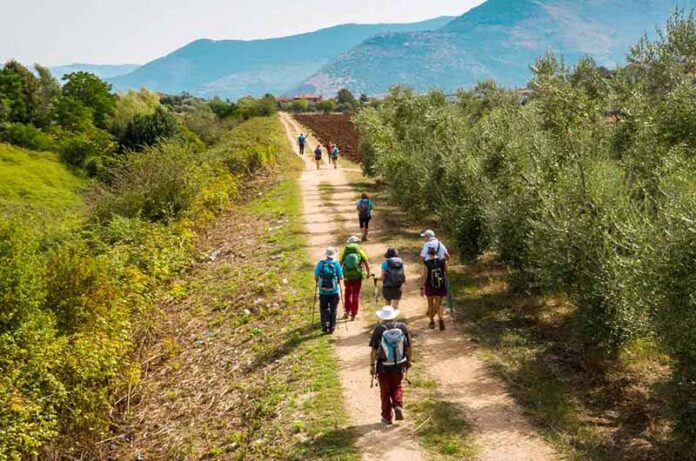 francigena vie del gustoa RImini_cover