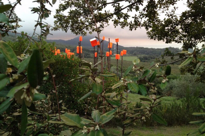 giardino_di_pianamola