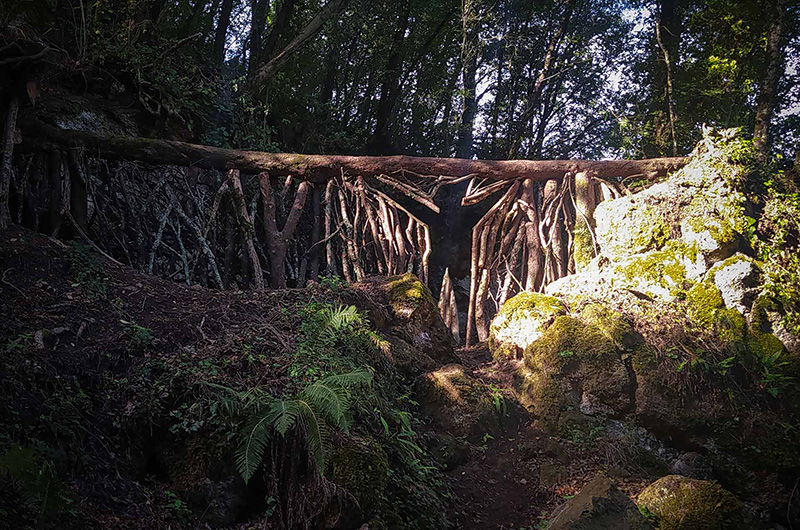image002