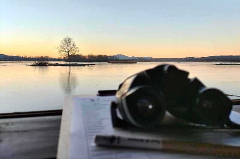 oasi WWF lago di Alviano