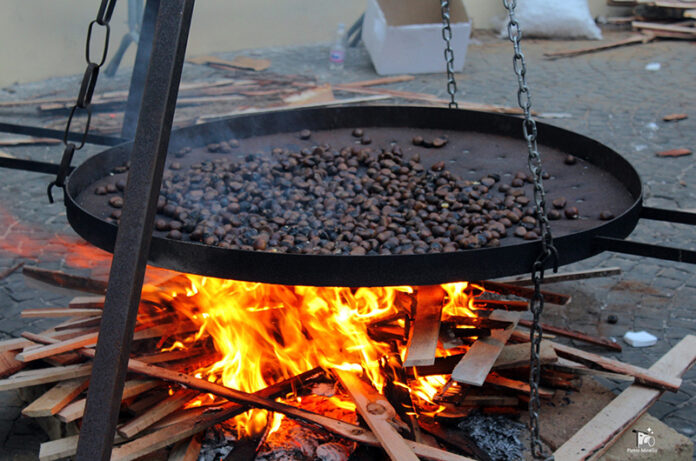 week pro loco canepina