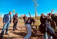 Festa dell'Albero Regione Lazio