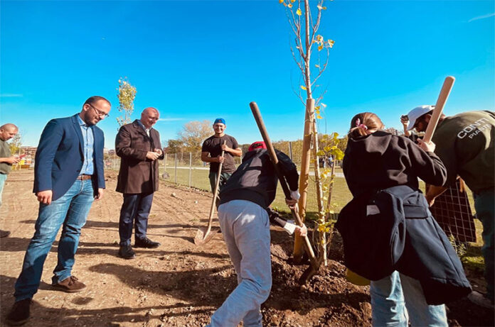 Festa dell'Albero Regione Lazio Festa dell'Albero Regione Lazio
