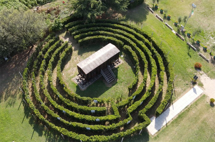 Semi di Pace1 Semi di Pace