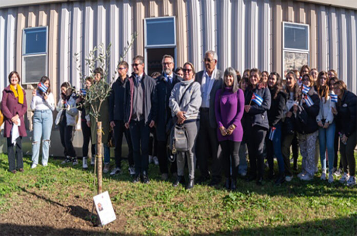 Torres-foto-di-gruppo1